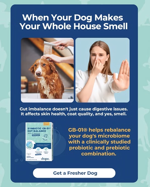A split-screen creative showing a dog being bathed alongside a person holding their nose, contrasting the problem of pet odor with the solution of a gut-balancing supplement.